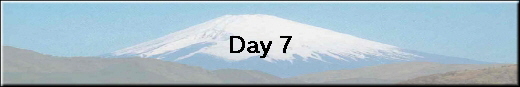 Day 7