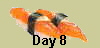 Day 8
