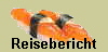 Reisebericht